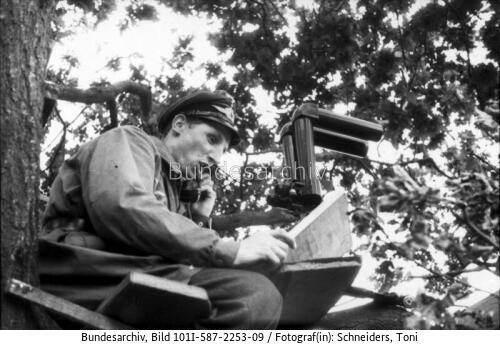 Normandie, Soldat mit Fernglas auf Baum sitzend