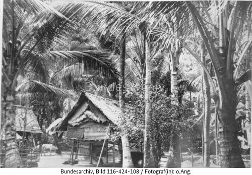 Indonesien, Stelzenhütten unter Palmen