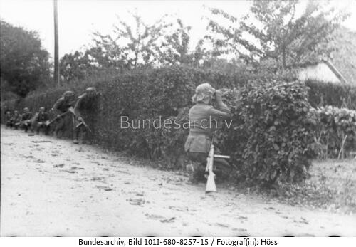 Frankreich, Soldaten in Deckung hinter Hecke