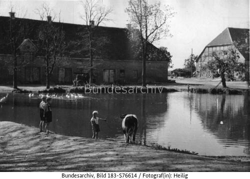 Gottin, Teich