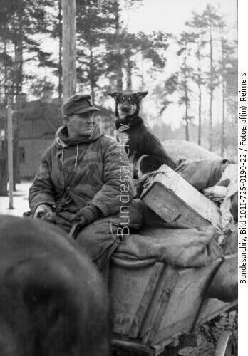 Russland, Rückzug deutscher Truppen