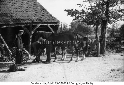 Gottin, Schmiede, Pferde