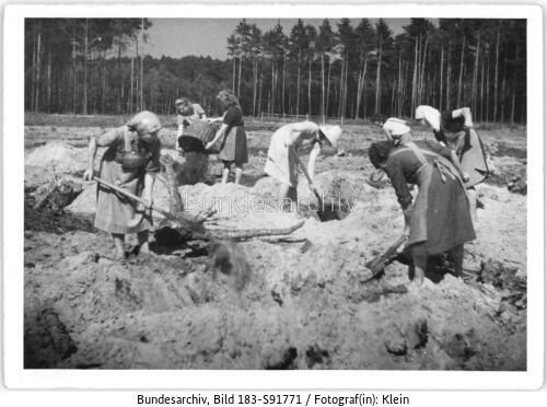 Petkus, Rodung