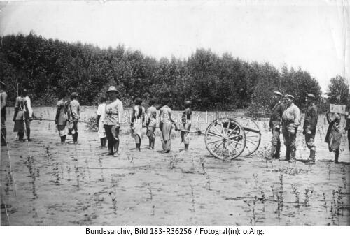 Tansania, MG-Abteilung des Kreuzers "Königsberg"