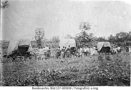 Togo, Baumwoll-Transport