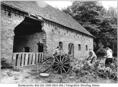 Spreewald, Teilnehmer eines ökologischen Work-Camps