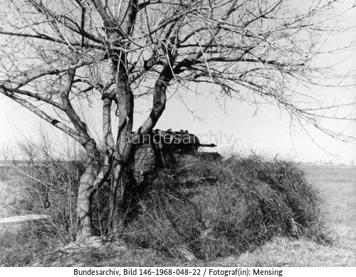 Spanien, Bürgerkrieg, getarnter Panzer I
