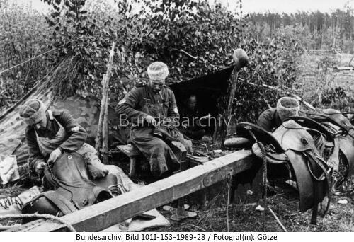 Russland-Mitte, Kosaken in der Wehrmacht