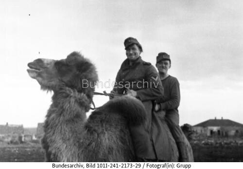 Russland, Soldaten auf Kamel