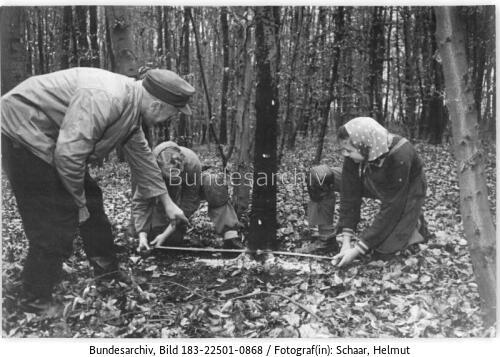 Bad Berka, Berufsschule, Lehrlinge