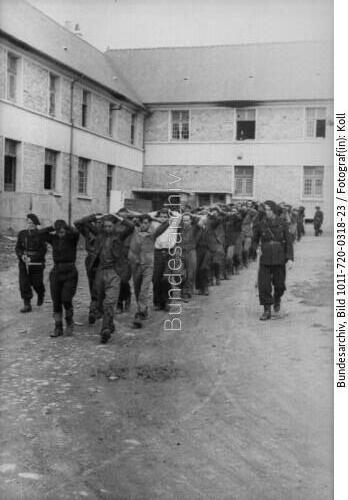 Frankreich, französische Miliz, Verhaftungen