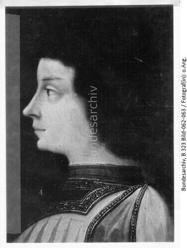 Dosso Dossi, 1479 - 1560, Kleines Brustbild eines Jünglings im Profil