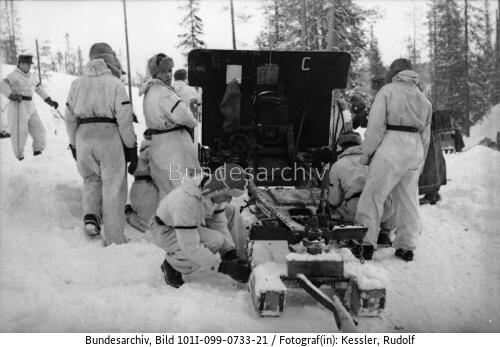 Nordeuropa, Gebirgsjäger