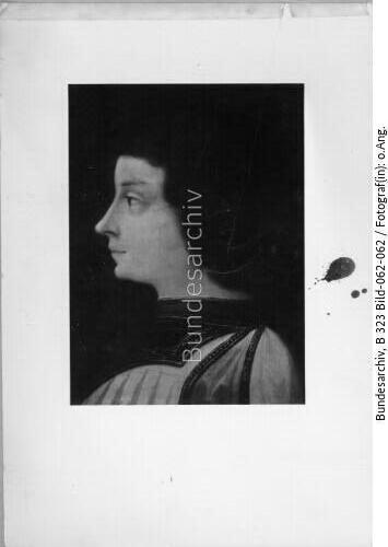 Dosso Dossi, 1479 - 1560, Kleines Brustbild eines Jünglings im Profil