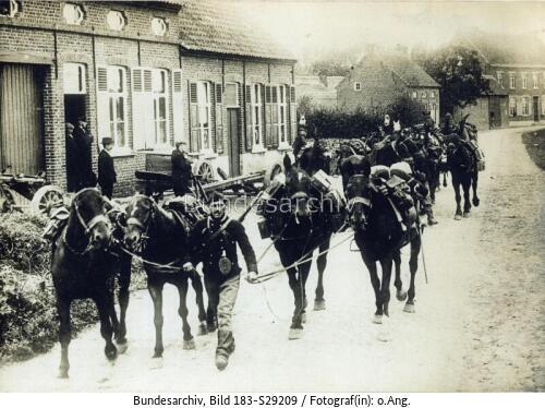 Westfront, Waffentransport auf Pferden