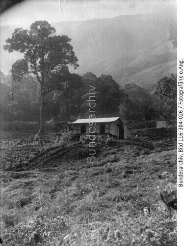 Kamerun, Kamerungebirge, Mussakahaus