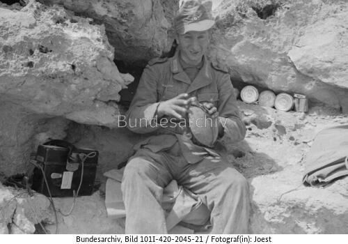 Tunesien, Stellung, Soldat