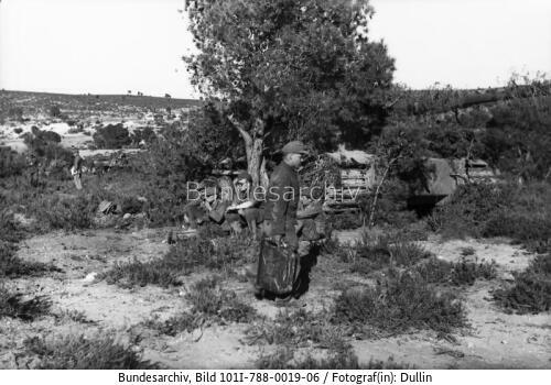Tunesien,  Panzer, Tarnung