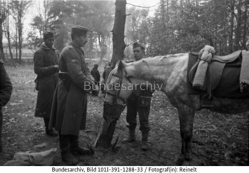 Russland, Freiwillige der "Blauen Division"