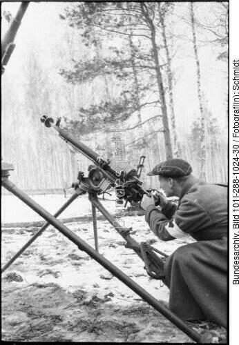 Russland, Waffen SS-Division "Rona"