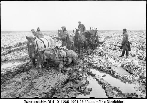 Kursk, Pferdegespann im Schlamm