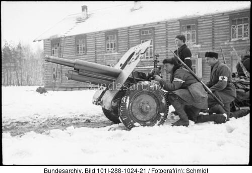 Russland, Waffen SS-Division "Rona"
