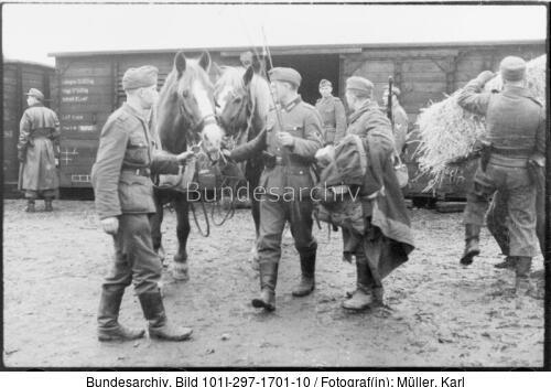 Belgien (?), Nachschub per Eisenbahn. Pferde