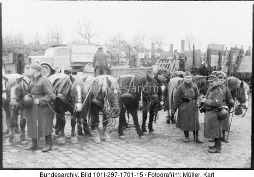 Belgien (?), Nachschub per Eisenbahn. Pferde