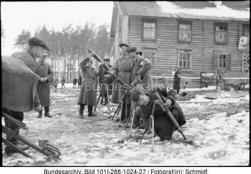 Russland, Waffen SS-Division "Rona"