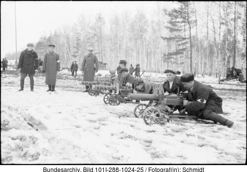 Russland, Waffen SS-Division "Rona"