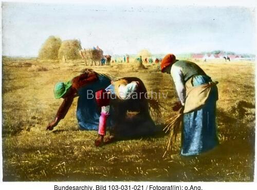 Frauen bei Getreideernte