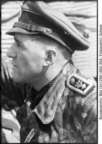 Frankreich, Panzersoldat der LSSAH