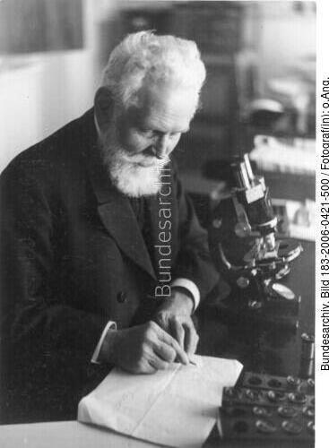 Alfred Ploetz