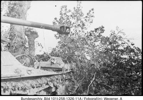 Südfrankreich, Marder I