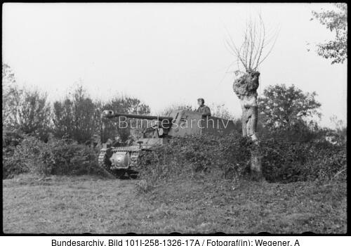 Südfrankreich, Marder I