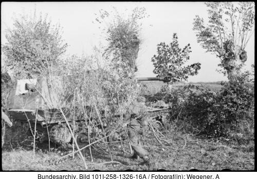 Südfrankreich, Marder I
