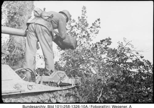 Südfrankreich, Marder I