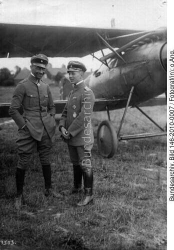Eduard v. Schleich, Friedrich Röth, Flugzeug Albatros D V
