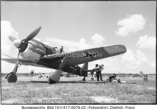 Im Osten, Flugzeug Focke-Wulf Fw 190