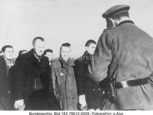 KZ Sachsenhausen, polnische Häftlinge, Einlieferung