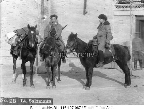 Tsingtau
Soldaten mit Pferden