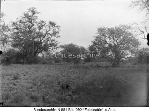 Deutsch-Südwestafrika, Landschaft