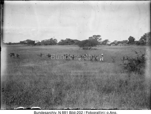 Deutsch-Südwestafrika, Landschaft