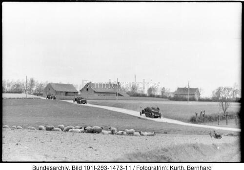 Frankreich, Schafherde, Zugkraftwagen mit Pak