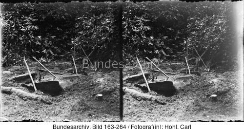 Kamerun, Yabassi, Buschgegend