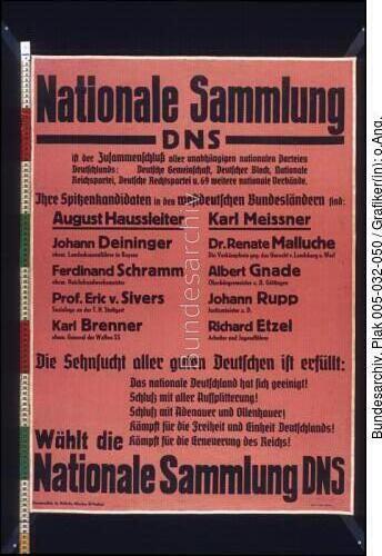 Bundestagswahl, DNS-Wahlplakat