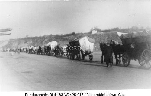 Bei Dresden, Flüchtlingstreck
