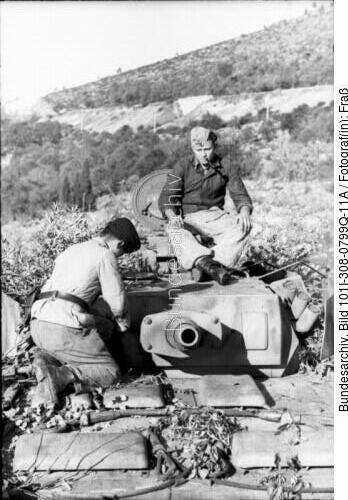 Italien, Panzer III, Tarnung