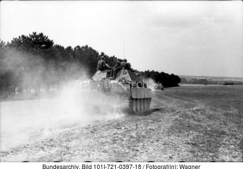 Frankreich, Jagdpanther im Gelände