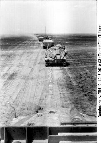 Russland-Süd, Schützenpanzer auf dem Marsch